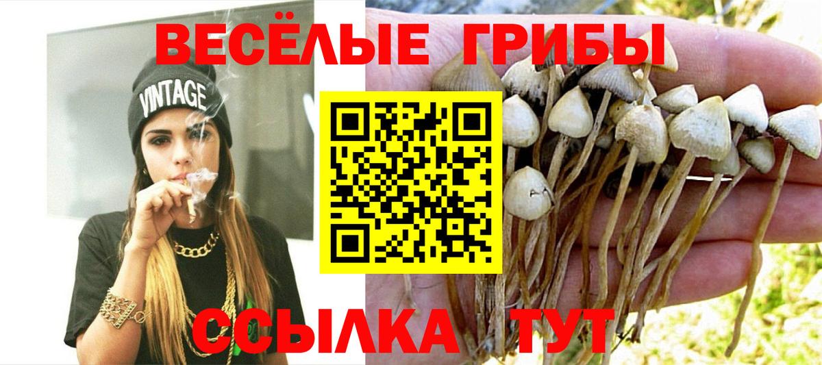 Галлюциногенные грибы мицелий Югорск